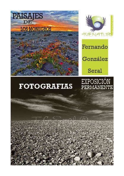 Ampliar Foto